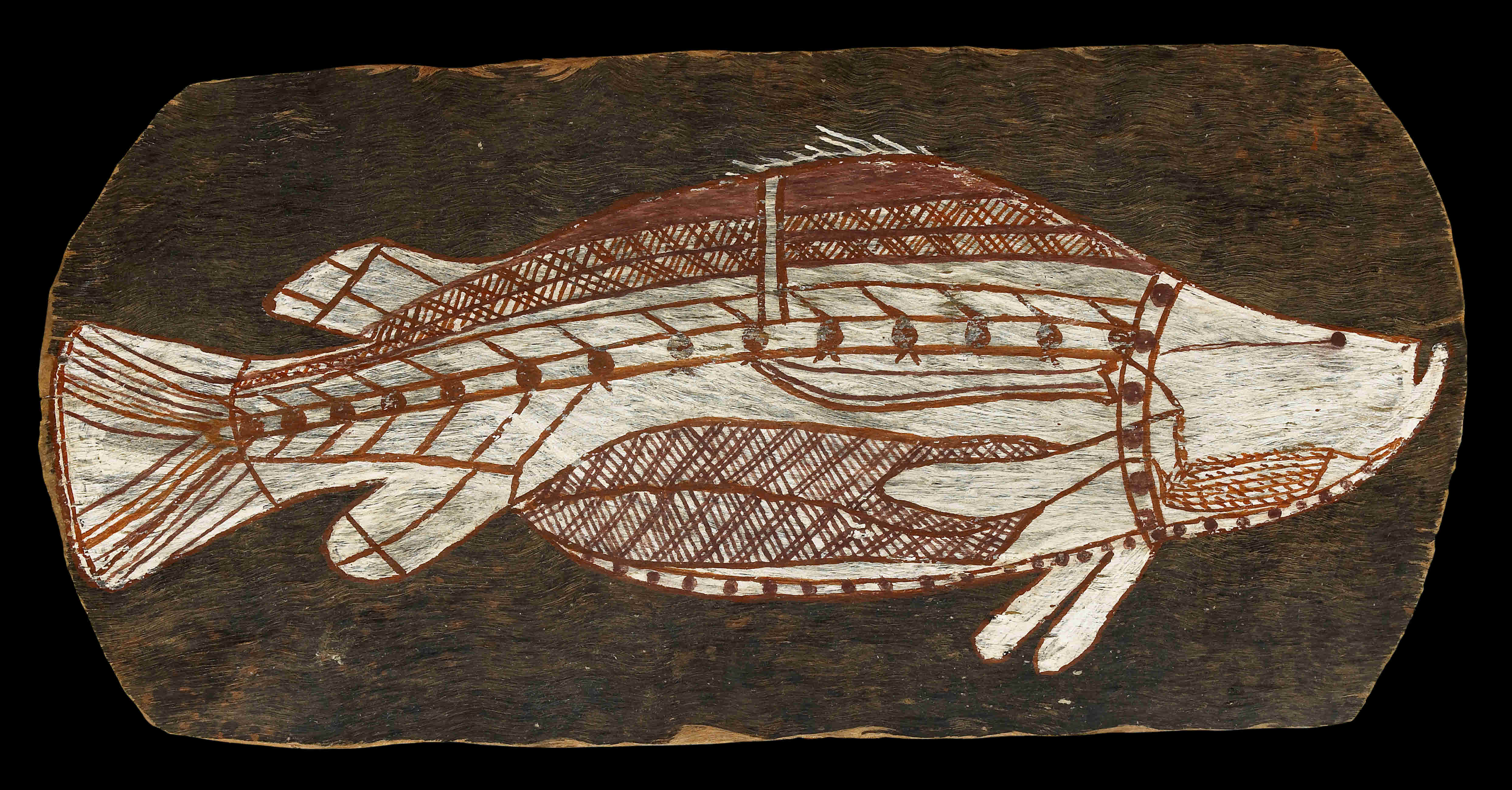 Первобытные рыбы. Чуринги аборигенов Австралии. Рентгеновская живопись аборигенов Австралии. Древняя живопись на коре аборигенов Австралии. Искусство аборигенов Австралии рыба.