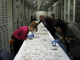 Birmingham Museums Trust, The Staffordshire Hoard Conservation Outreach Programme