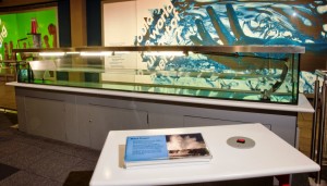 Interactive exhibits