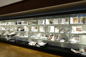 Promuseum Display Case