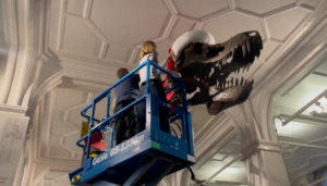 A still from the Manchester Museum's video