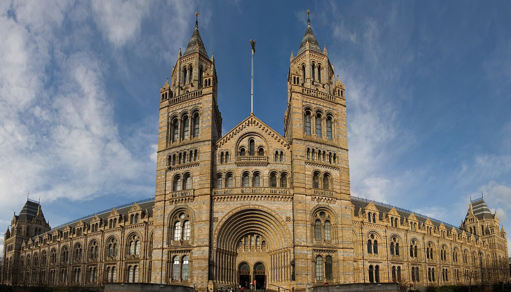 Natural History Museum by Diliff (CC BY-SA 3.0)