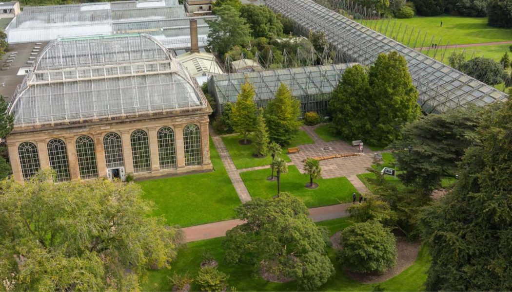 The Palm Houses at Edinburgh's Royal Botanic Garden (Royal Botanic Garden Edinburgh)