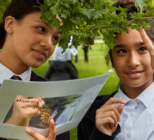 Two students examine and rake notes on the leaves of a tree branch
