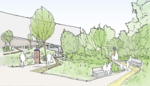 An illustration of the new Woodland Area- Garden of Reflection