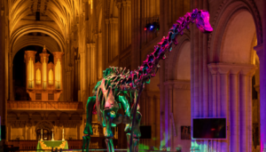 Dippy at Night (c) Bill Smith - Norwich Cathedral