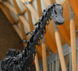 Dippy in Coventry at the Herbert Art Gallery and Museum (FiveSix Photography)