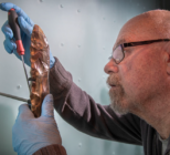 Museum of London staff remove flint tranchet adze (c Museum of London
