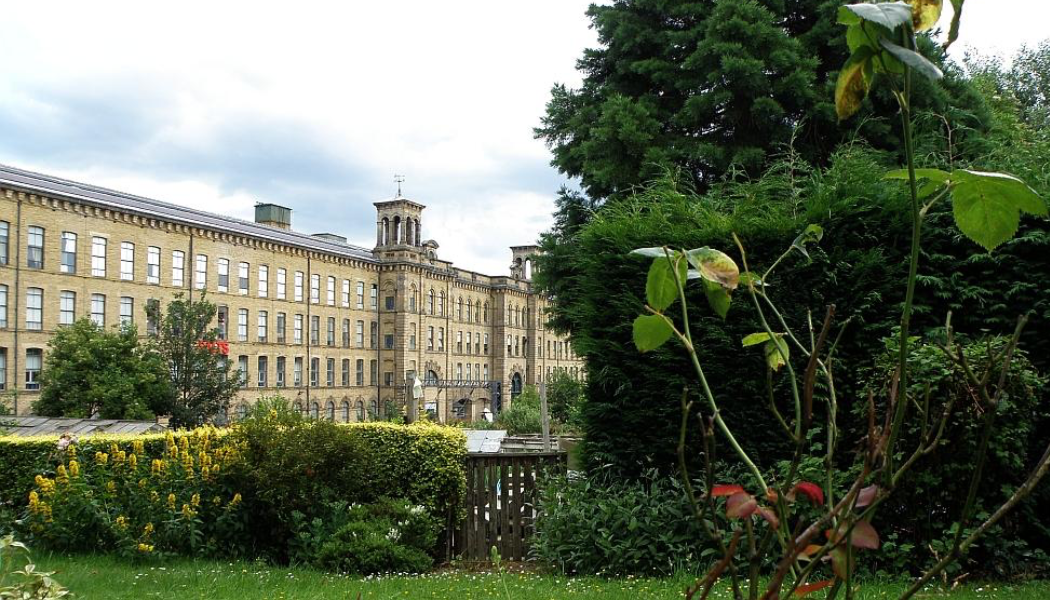A view of Salts Mill through nearby allotments